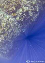 Over the Abyss.
Bunaken, Sulawesi.
10.5mm. by Mark Thomas 